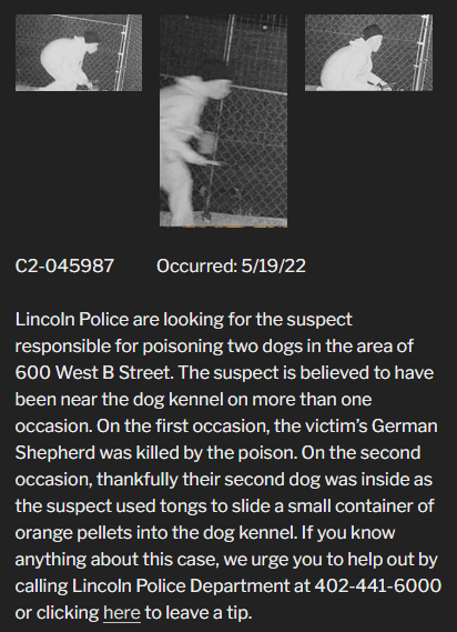 Dog poisoning